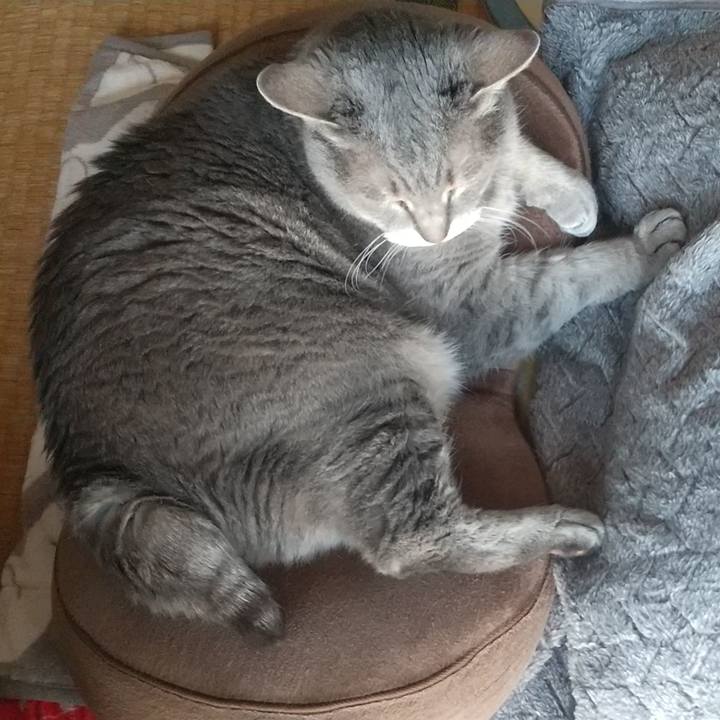 Db92447b 277e 43ec ae0c c6bd38a49964 1621751911175