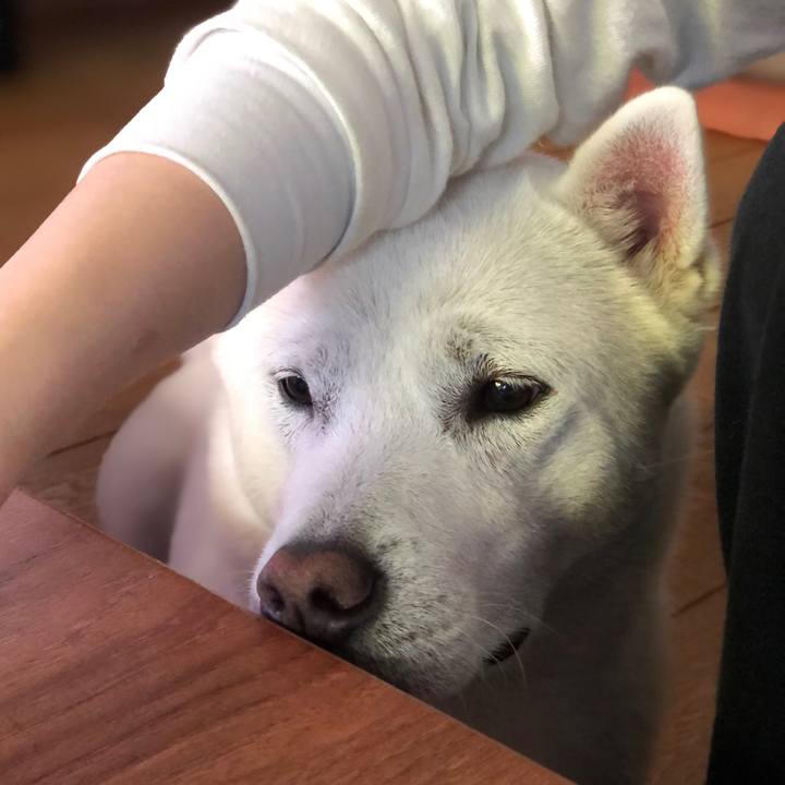 Db924cd4 d366 4b20 bd2f 80ff29d7633a 1586921695919