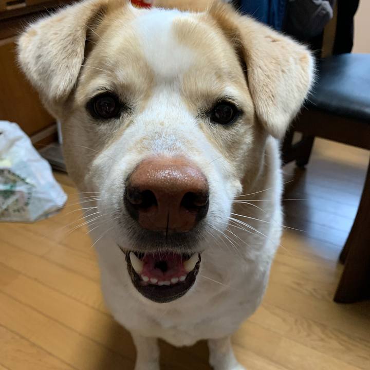 Db92b05a 39c1 4d56 81c9 57cd61788470 1583104982946