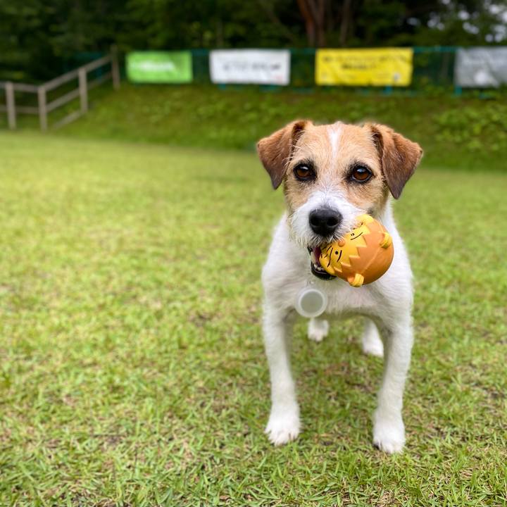 Db92c819 def8 453a bcba 790fe511d162 1658566539551