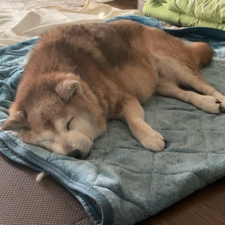 Db92caa9 941f 4fde 8147 3b82e2bde385 1692572287431