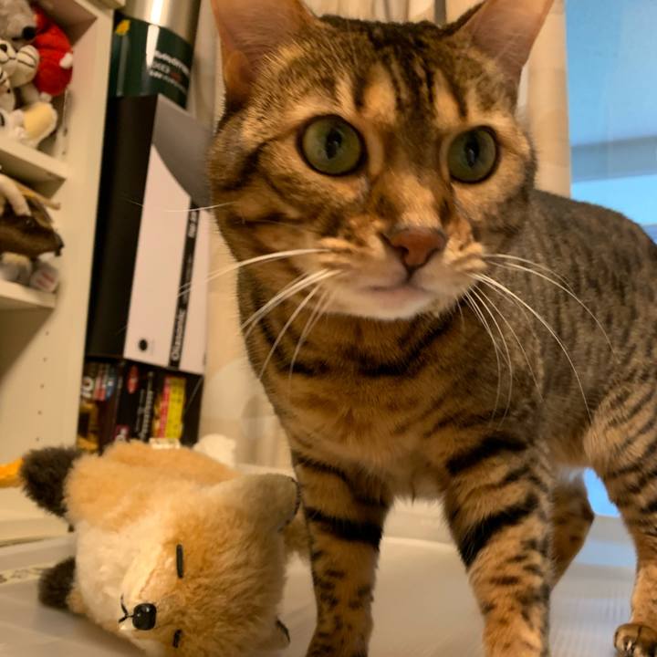 Db92d478 075d 40a9 b2ef 89a6b982021f 1554594421180