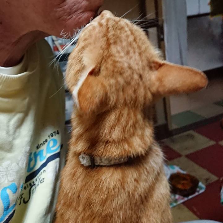 Db92e009 5c84 425d 9dd7 0fdcee667e75 1594845373360