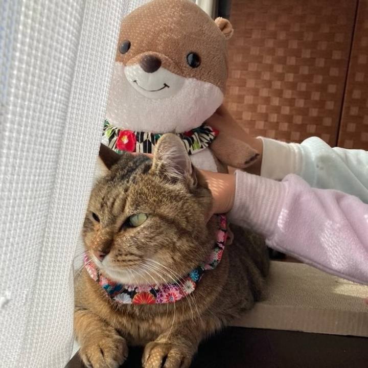 Db92fb5a ecaa 4089 8b4d b5361f545b35 1704252484015