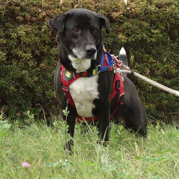 Db930214 ac47 4f5b bf66 a96b207868ab 1680050587573