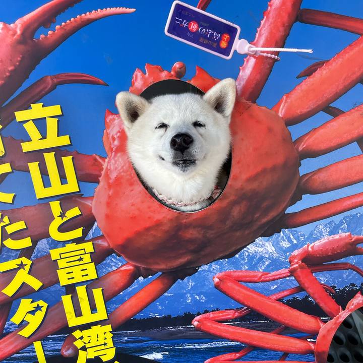 Db930450 37c4 4a0c 9093 c9b1cf3f01c3 1715121862678