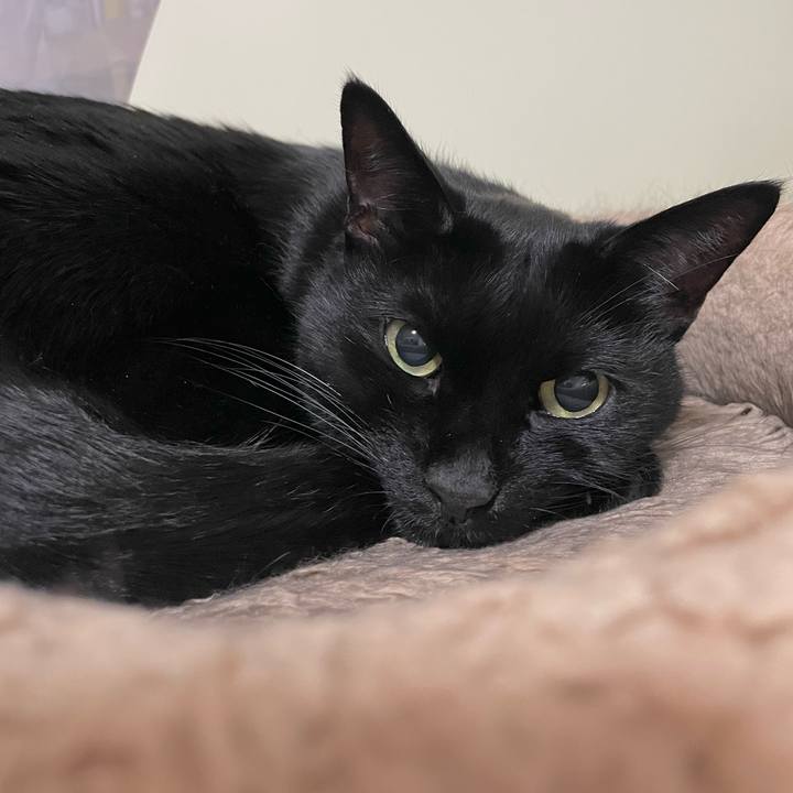 Db932326 19e3 451a 9332 d07b05a4caf5 1698935445219