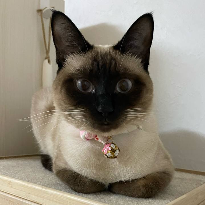 Db933bc2 9308 4bf0 bc84 4cac20874fdf 1714764929506