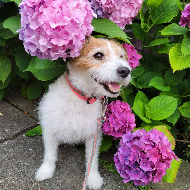 Db939f92 6a0b 4ebb 88be f17214d9182c 1758604401697