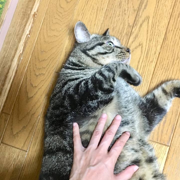 Db93de54 7bb7 44cc 8e26 29308f7a4ca1 1534341361186