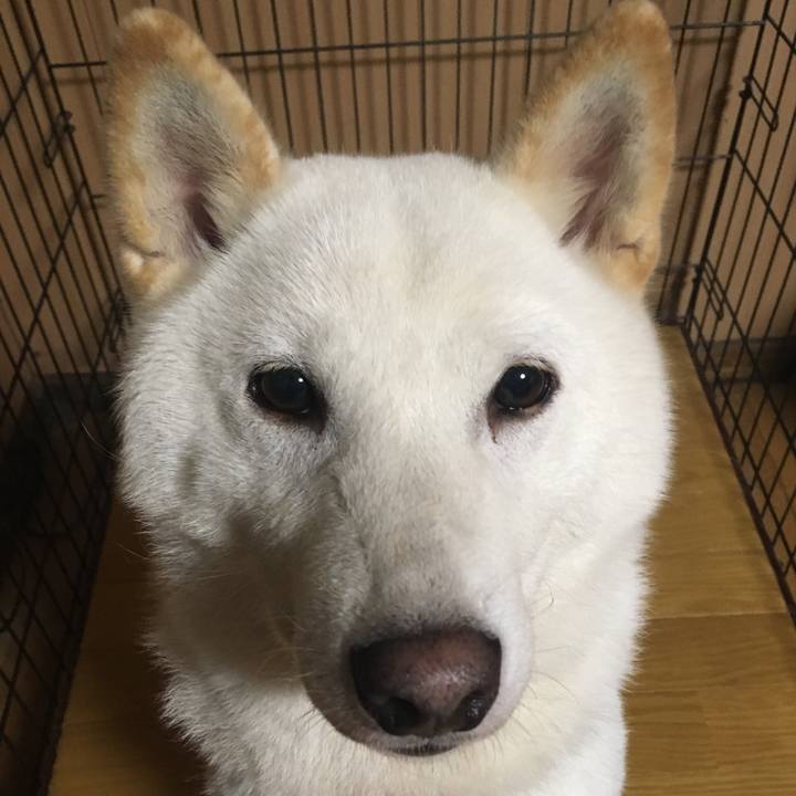 Db93f6d0 54f7 4f1a 8520 f1bb6c833100 1537366337771