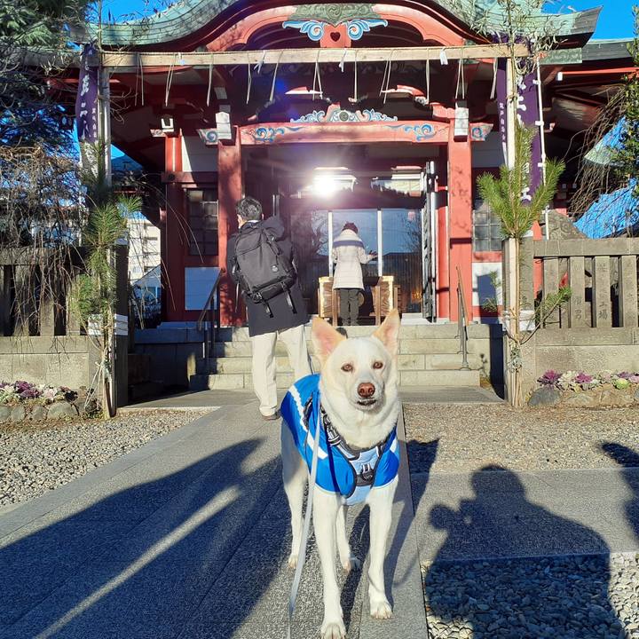 Db942763 7602 4124 bdf9 0e4a6839f811 1641001721016