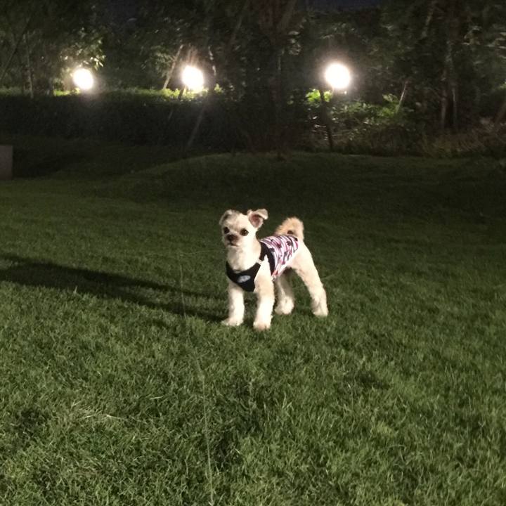 Db9465dc 4837 4ea9 8889 4a1728fd922e 1538391743647