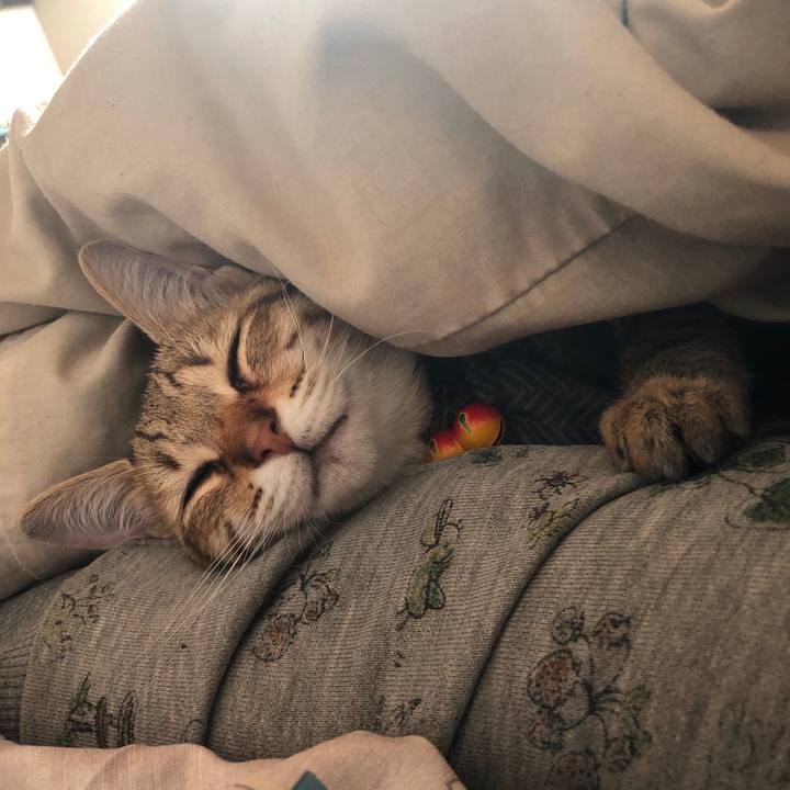 Db9468f1 bffb 4dca 969c bb58ffed9d1e 1579577033626