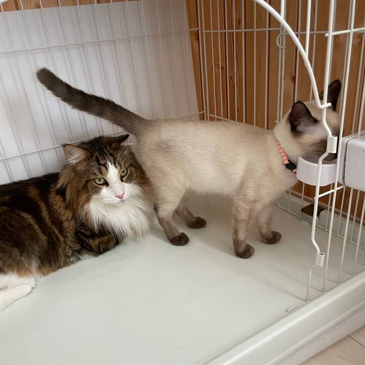 Db9485ac c12c 4b76 806e 2b5a3c0c12e7 1694469228069