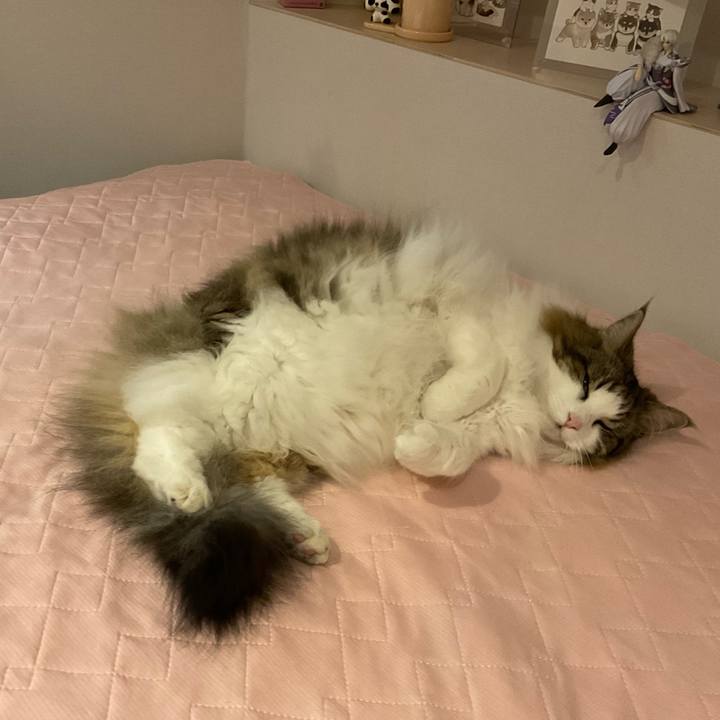 Db9487b1 9e7a 4337 866e 77ec303a1044 1750428484512