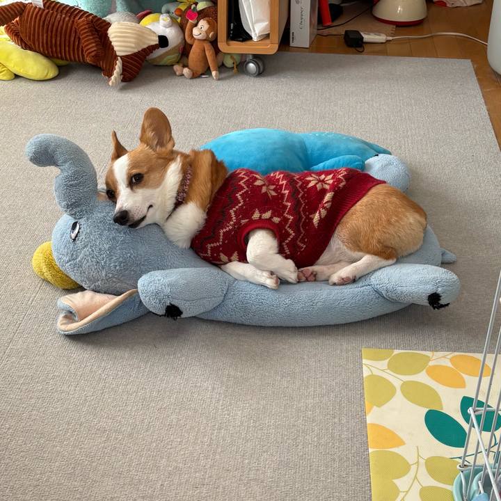 Db94b4f8 3f95 40de beb7 67f465797376 1769148562228