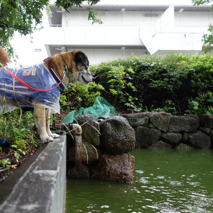 Db94cdbe 1ede 4bc7 a2dc 08018f3d52af 1560559244693