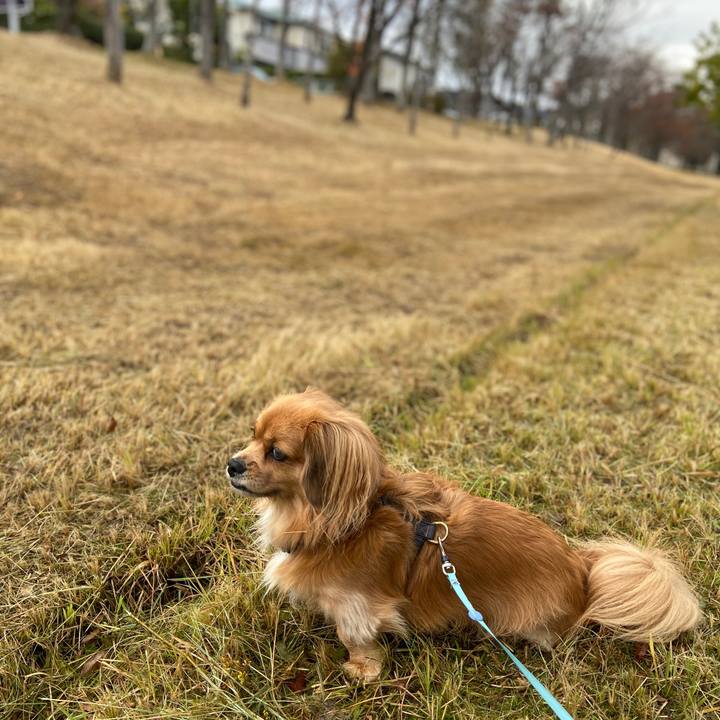 Db94dae3 0199 42b8 9bfe ad550e382515 1574553307787