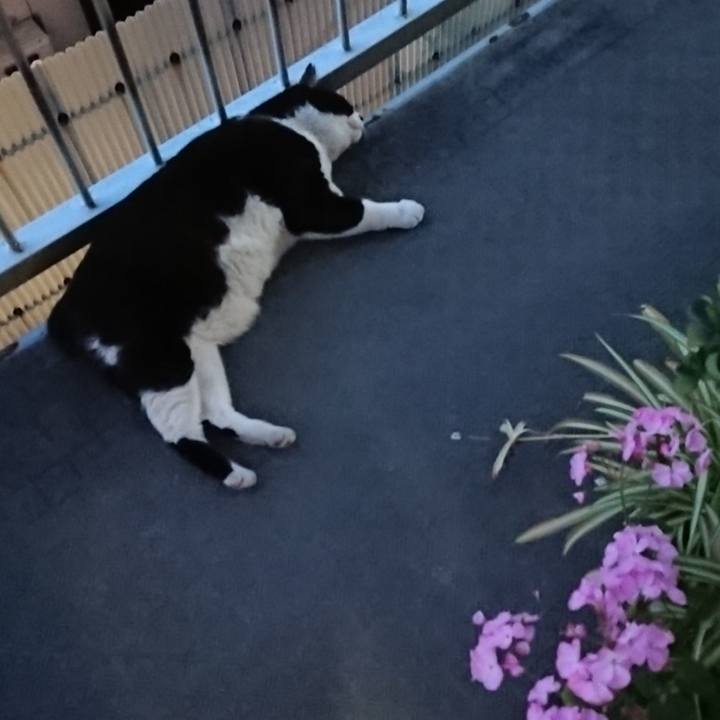 Db94f965 d975 4f92 8b30 836a67210a47 1558865575517