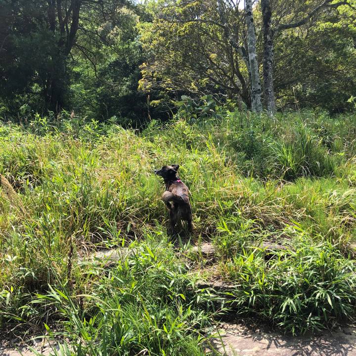 Db950511 2381 40a4 92cb d31a6bae72ca 1651677731451