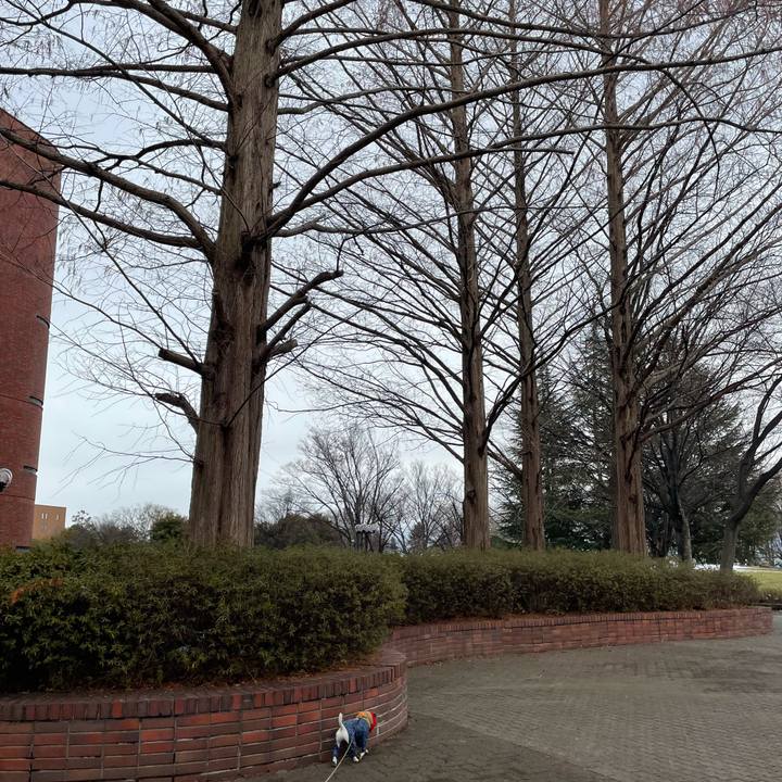 Db951837 ebc0 4c0f 983b d6685797ac52 1645271602828