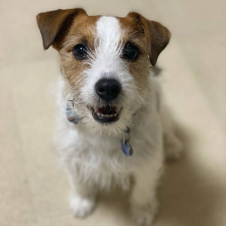 Db9535b2 a7e7 4445 8663 7cace0d0bfa2 1742478069415