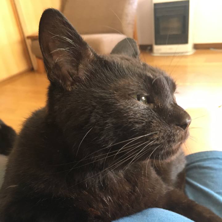 Db953c21 6c08 49c4 a1cd 70af4f0ed7cc 1532731725836