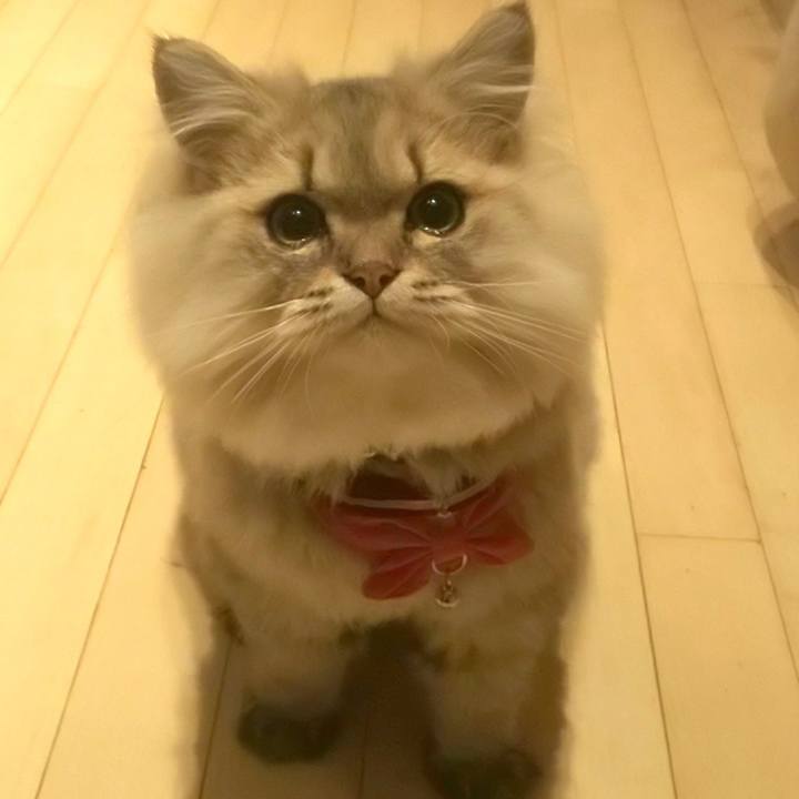 Db9572fa 11c9 487b 8da9 f65a3acbf188 1571213948459