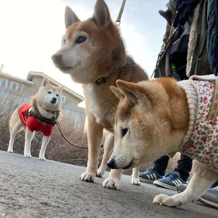 Db957490 ae6b 4505 bf65 6f4c16545e07 1674734075083