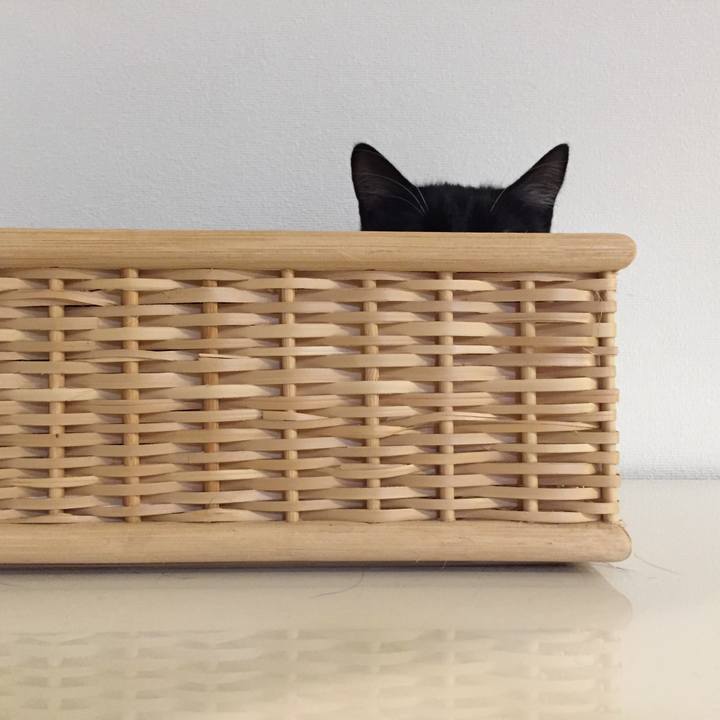 Db95923d f8d2 4e74 a833 ac76eddd0b8c 1539602389970