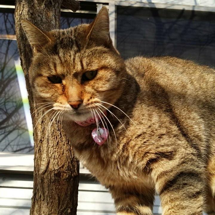 Db95a177 d0a2 4b1a 842d 827c2157a612 1513347593976