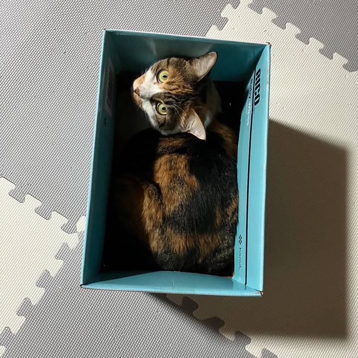 Db95a837 82a8 4f7f ad46 1e9ebf5e16f8 1693380967427