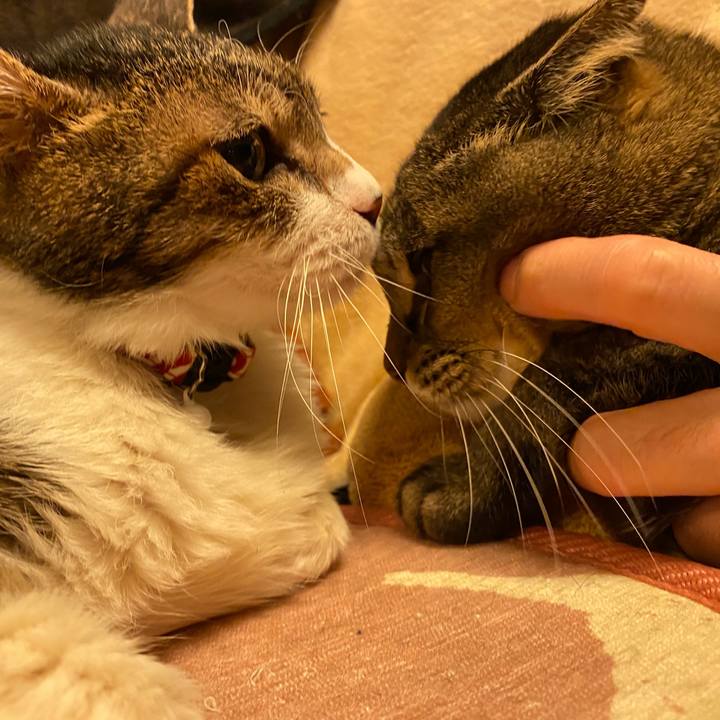 Db95a9ff 15e7 4596 bcc2 b975569bd03a 1607255219725