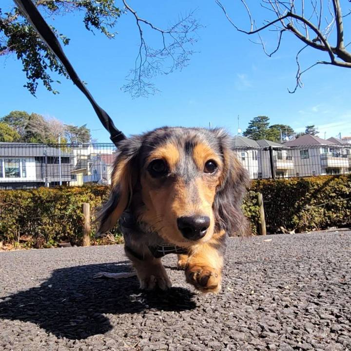 Db965fdf 9fde 4b7c af32 619b0c921603 1707538670465