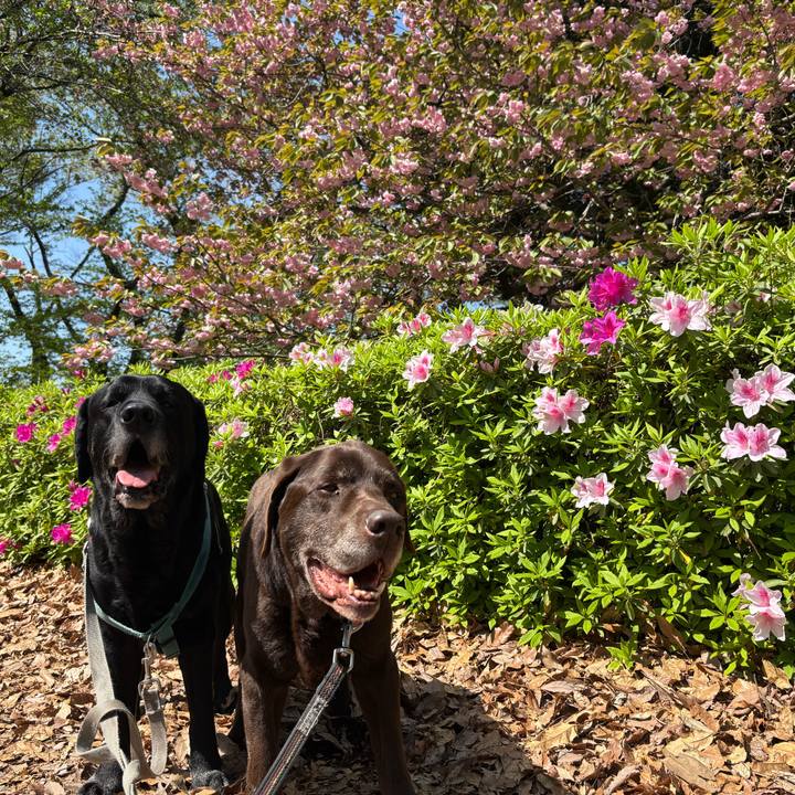 Db966d08 fa04 4ffe 8ce6 931d146fc93f 1775994160456