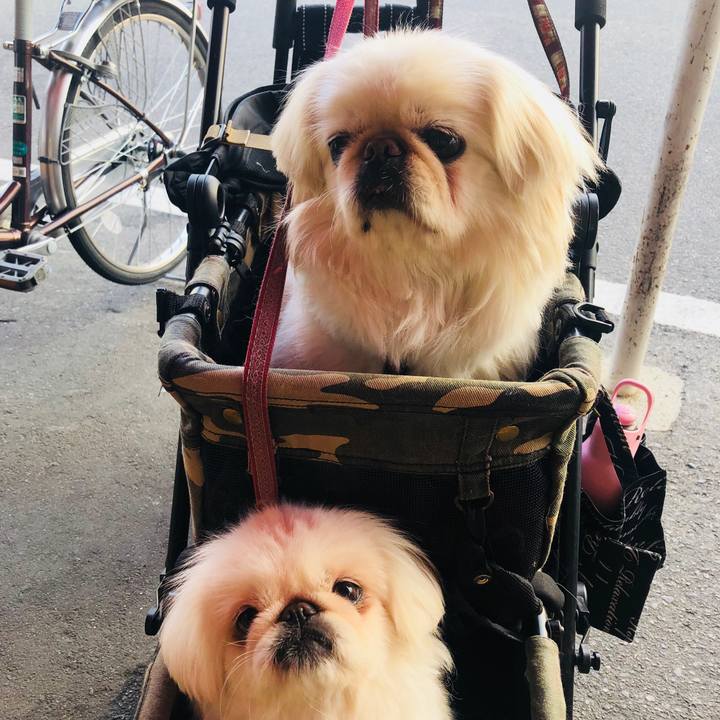 Db96c71d 0106 4537 8f0b 6f8081a10d5f 1583399314940