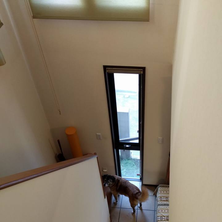 Db96fd39 d98b 4dca be35 908fb47cb0c9 1529971194441