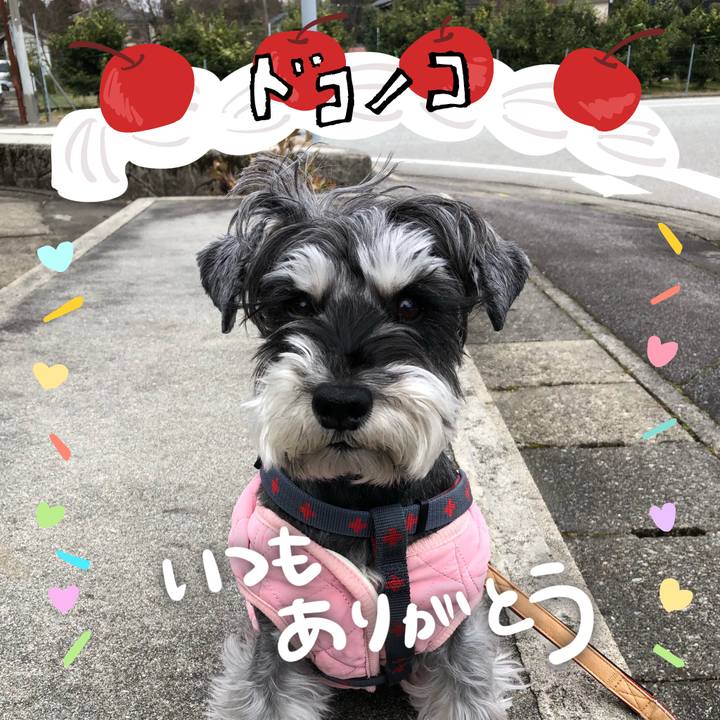 Db970629 b48a 44df b7d6 39f570b79612 1685999866590