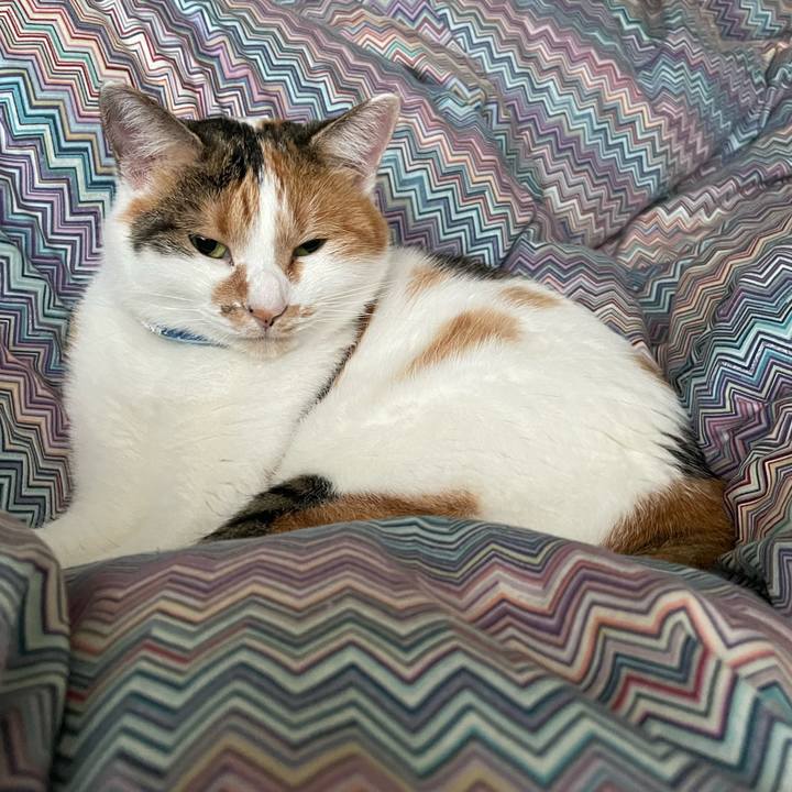 Db9724d4 a094 4ea9 8e8b 47f43db2c35c 1699831883409