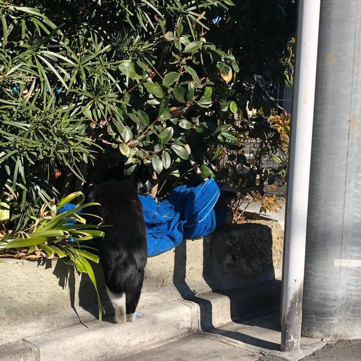 Db972a16 74c0 44ef a529 99c08a1dad16 1547988550719