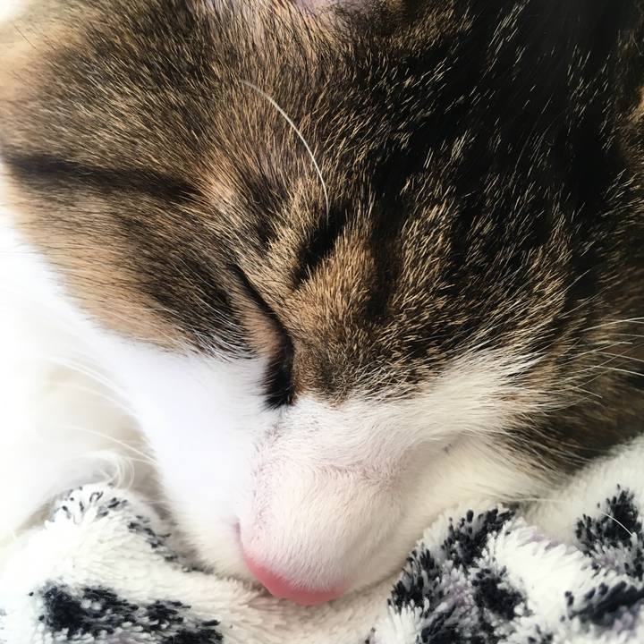 Db972b4c ebf4 4bb2 a9a2 85031c1888eb 1514540033216