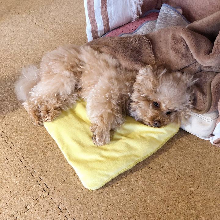 Db9780df 85a2 43e1 b220 49c162ada170 1529127427002