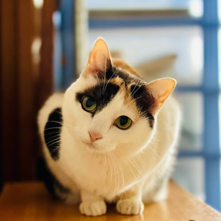 Db97d667 9aea 4f4f b702 7843539c6b94 1619054633506