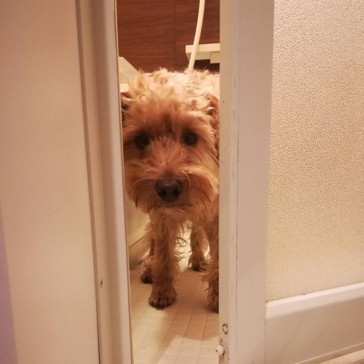 Db97f097 31cd 4630 8dee 2a5b29148036 1540418360566