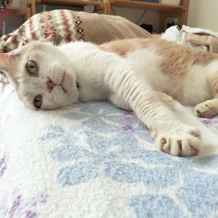 Db9803f9 8ec3 4d08 b75a ab0c23a4df61 1664691321767