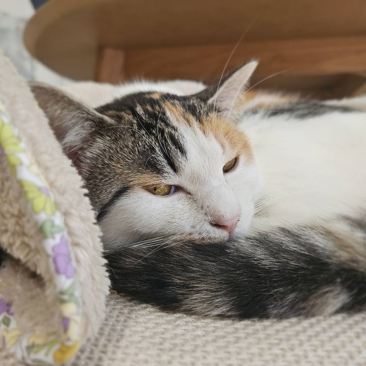 Db9817cc 18be 4657 9979 50a57937abc2 1760409682180