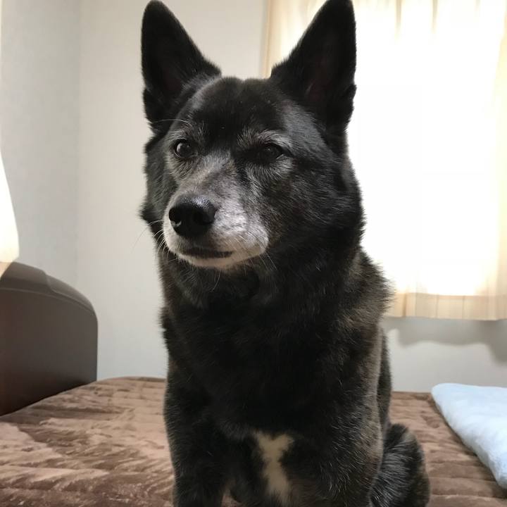 Db984137 d2be 4f64 bfdb 24bcd8b17886 1514816039927