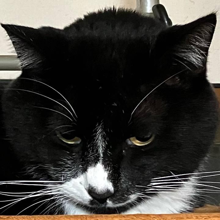 Db9858cc ba28 4f1d 8d90 b1526455b9f9 1769835250320