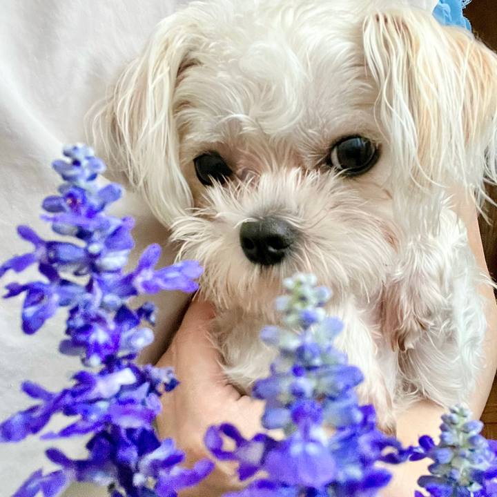 Db98a31f de86 4ce6 8b3d 595e016d05f0 1656400429292